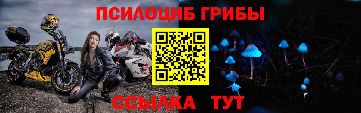 Псилоцибиновые грибы ЛСД Благодарный