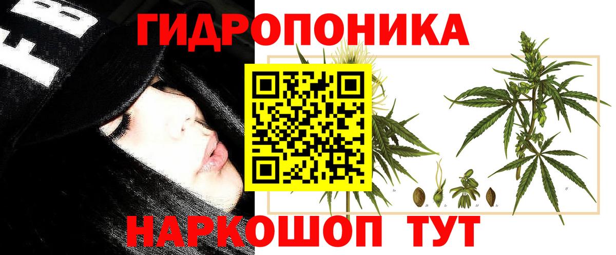Благодарный  Конопля MAZAR  Канабис марихуана  Марихуана марихуана  Вход с VPN 